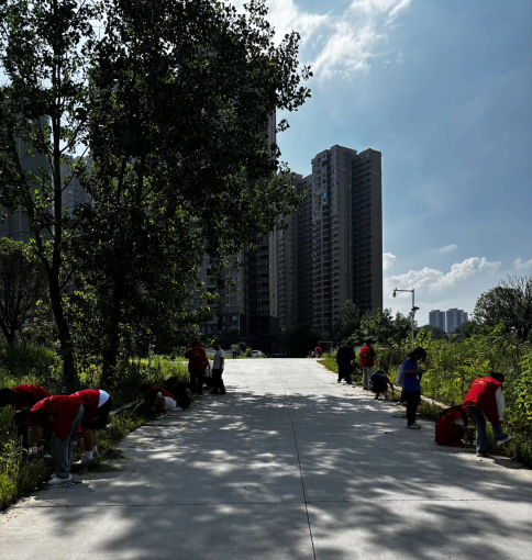 電氣工程學(xué)院學(xué)工黨支部成功開展 “踐行勞動奉獻，筑牢信仰根基” 主題黨日活動