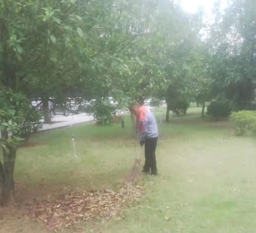 后勤服務(wù)處開展愛國衛(wèi)生運動