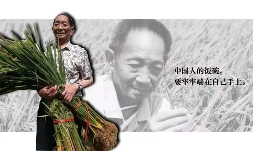 機械工程系開展“紀念雜交水稻之父袁隆平”活動