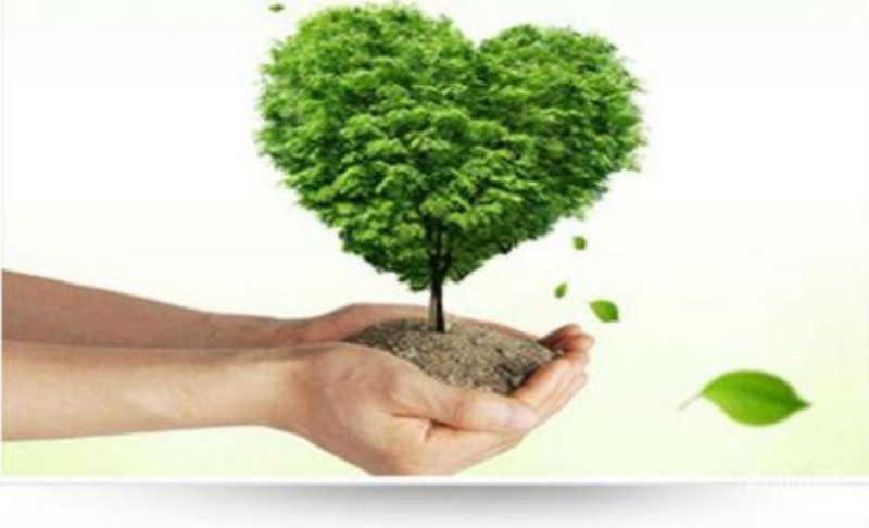 衡陽(yáng)技師學(xué)院實(shí)訓(xùn)中心2019年廢舊設(shè)備處理項(xiàng)目競(jìng)價(jià)成交結(jié)果公告